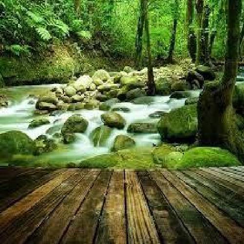 حجت قائمی کوچه های خاکی